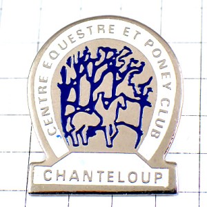 ピンバッジ・乗馬ポニー子馬クラブ白い蹄鉄