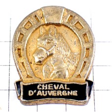 ピンバッジ・金色の馬と蹄鉄ゴールド幸運のアイテム AUVERGNE FER-A-CHEVAL LUCKY FORTUNE FRANCE ピンバッジ・金色の馬と蹄鉄ゴールド幸運のアイテム AUVERGNE FER-A-CHEVAL LUCKY FORTUNE FRANCE