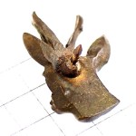 ピンバッジ・大きな角の鹿ハンティング狩猟ブロンズ色のシカ