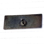 ピンバッジ・ベルンの遠景スイス