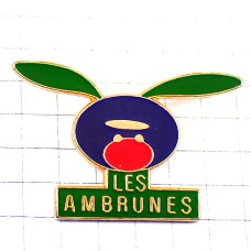 ピンバッジ・樹の実や葉っぱの耳 LES-AMBRUNES FRANCE