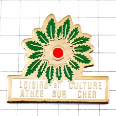 ピンバッジ・赤い実と緑の葉っぱ LOISIRS-CULTURE ATHEE-SUR-CHER LEAVE FRANCE ピンバッジ・赤い実と緑の葉っぱ LOISIRS-CULTURE ATHEE-SUR-CHER LEAVE FRANCE