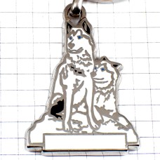キーホルダー・シベリアンハスキー犬ブルー青い目