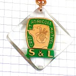 キーホルダー・シャンパーニュのブドウ房シャンパン葡萄酒クレディアグリコル銀行ブルボン社製 CREDIT-AGRICOLE BANK FRANCE