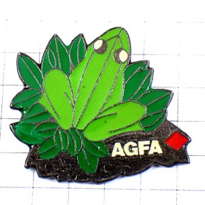 ピンバッジ・写真アグファ緑のカエルと葉っぱ AGFA GERMANY DEUTSCHLAND
