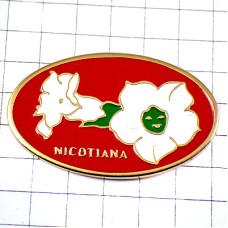 ピンバッジ・タバコの白い花二輪ニコチアナ NICOTIANA TABACUM FLOWER