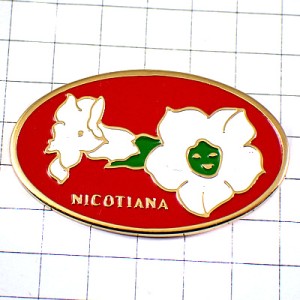 ピンバッジ・タバコの白い花二輪ニコチアナ NICOTIANA TABACUM FLOWER ピンバッジ・タバコの白い花二輪ニコチアナ NICOTIANA TABACUM FLOWER