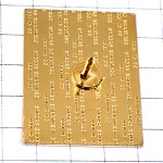 ピンバッジ・カエル地球に座る緑蛙