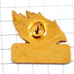 ピンバッジ・燃える炎オイル燃料