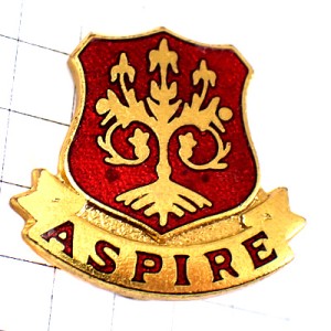 ブローチ・赤い木の紋章  ASPIRE BROOCH