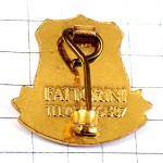 ブローチ・赤い木の紋章  ASPIRE BROOCH