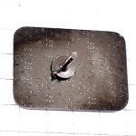 ピンバッジ・ミラベルの実フランスの果物ロレーヌ地方 MIRABELLE LORRAINE FRANCE