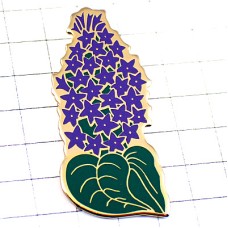 ピンバッジ・ブッドレア紫色の花々