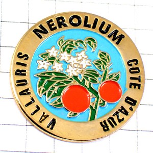 ピンバッジ・白い小さな花々や赤い実