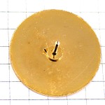 ピンバッジ・白い小さな花々や赤い実