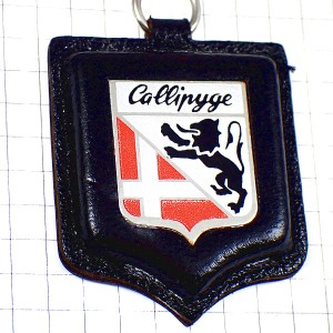 キーホルダー・ライオンや白い十字の紋章カリピジュ黒い革製