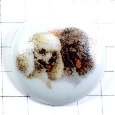ピンバッジ・テリア犬２匹リモージュ焼き陶磁器 CANICHE LIMOGES FRANCE