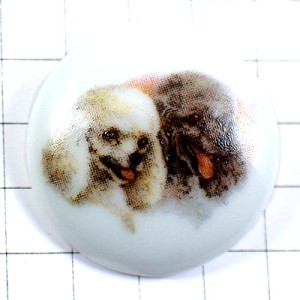 ピンバッジ・テリア犬２匹リモージュ焼き陶磁器 CANICHE LIMOGES FRANCE