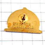 ピンバッジ・茶色い木の幹コレージュ中学校 FLIXECOURT COLLEGE FRANCE