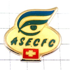 お買得ピンバッジ・ピンズ・片目と白い十字