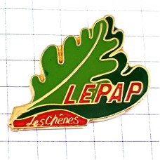 ピンバッジ・オークの木の緑の葉っぱ