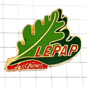 ピンバッジ・オークの木の緑の葉っぱ