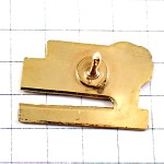 ピンバッジ・真っ赤なバラ薔薇の花ローズ公園