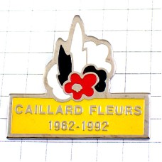 ピンバッジ・赤い花30周年