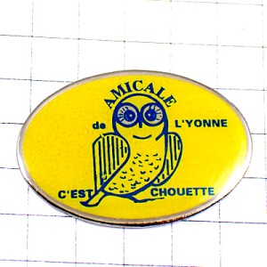 ピンバッジ・すごい梟フクロウ鳥