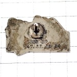 ピンバッジ・アリアンス余暇の楽しみ