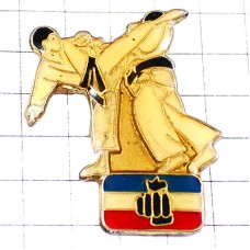 ピンバッジ・テコンドー黒帯キック武道 FEDERATION-FRANCAISE-KARATE