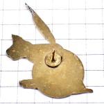 ピンバッジ・羽根ペンで書く文房具レコード音楽ミュージック ENTRETENUS PLUME VINYL