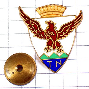 ピンバッジ・ワシ鷲イーグル紋章アルファベットTN王冠