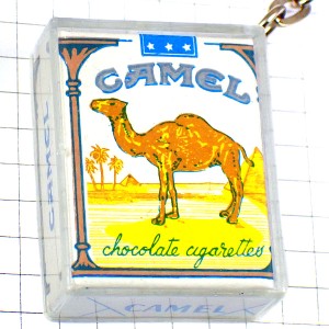 キーホルダー・キャメル煙草タバコ駱駝ピラミッド遺跡 CAMEL