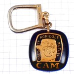 キーホルダー・シャンパーニュのブドウ房シャンパン葡萄酒クレディアグリコル銀行 CREDIT-AGRICOLE BANK FRANCE