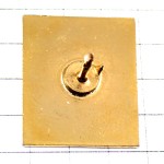 ピンバッジ・緑色シャラント県の地図型 CHARENTE DEPARTEMENT MAP FRANCE ピンバッジ・緑色シャラント県の地図型 CHARENTE DEPARTEMENT MAP FRANCE