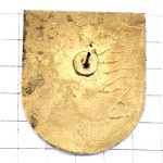 ピンバッジ・アライグマ台北バスケットボール台湾の選手 TAIWAN BASKET