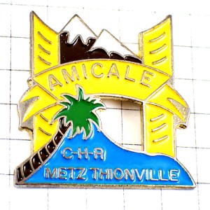 ピンバッジ・やしの木と雪山