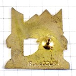 ピンバッジ・やしの木と雪山