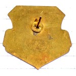 ピンバッジ・アメリカ軍イラク砂漠の嵐作戦ミリタリー/USA DESERT-STORM 1991 IRAK SADDAM-HUSSEIN GEORGE-BUSH