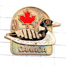 ピンバッジ・カナダの鴨カモ鳥一羽 DUCK CANADA LEAVE
