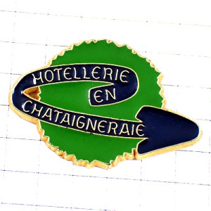 ピンバッジ・青い矢印ミドリの木 CHATAIGNERAIE CHESTNUTS FRANCE
