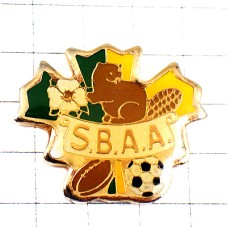 ピンバッジ・ビーバー白い花サッカー球ラグビーボール緑と黄色の葉っぱ ピンバッジ・ビーバー白い花サッカー球ラグビーボール緑と黄色の葉っぱ