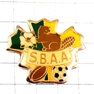 ピンバッジ・ビーバー白い花サッカー球ラグビーボール緑と黄色の葉っぱ