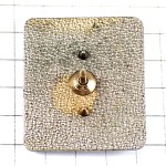 ピンバッジ・ライオン獅子の写真シルバー銀色のフレーム