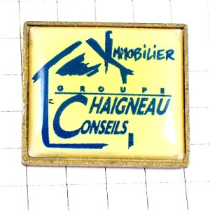 ピンバッジ・青い家ブルー不動産