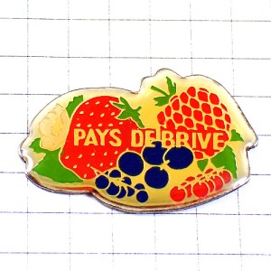 ピンバッジ・イチゴやブルーベリー苺フランボワーズ果物カシス