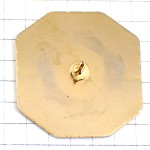 ピンバッジ・ヴィコ小学校の校舎コルシカ島 ピンバッジ・ヴィコ小学校の校舎コルシカ島