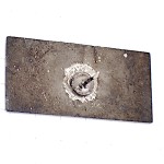 ピンバッジ・アンテール世界一スポーツ店