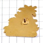 ピンバッジ・エーデルワイス白い花スイス EDELWEISS SWISS SWITZERLAND